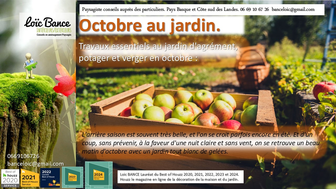 Paysagiste Ahetze, octobre est un mois crucial pour entretenir et préparer votre jardin