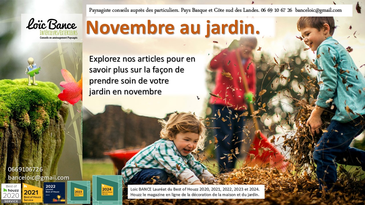 Paysagiste Ahetze, découvrir tous les secrets d'un jardinage réussi en novembre. 